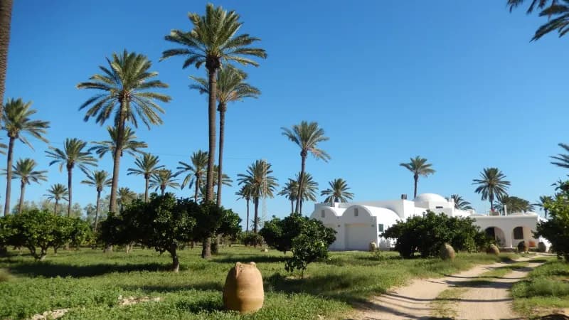 Djerba : découvrez l’île des rêves et ses trésors cachés