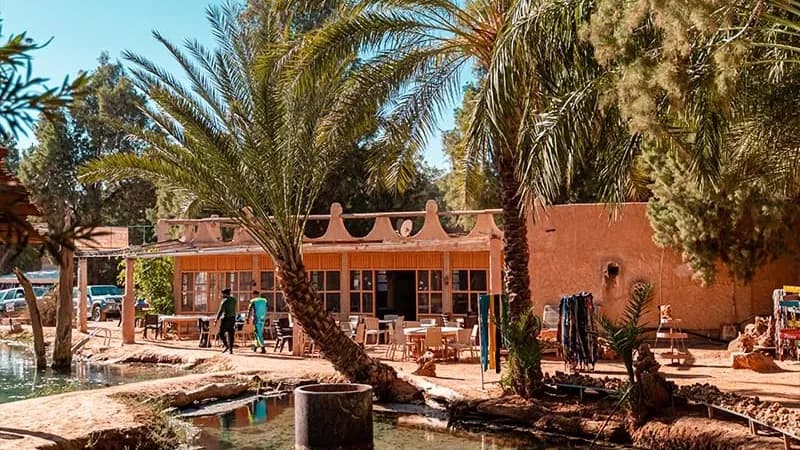 Excursion Journée - Oasis de Ksar Ghilane