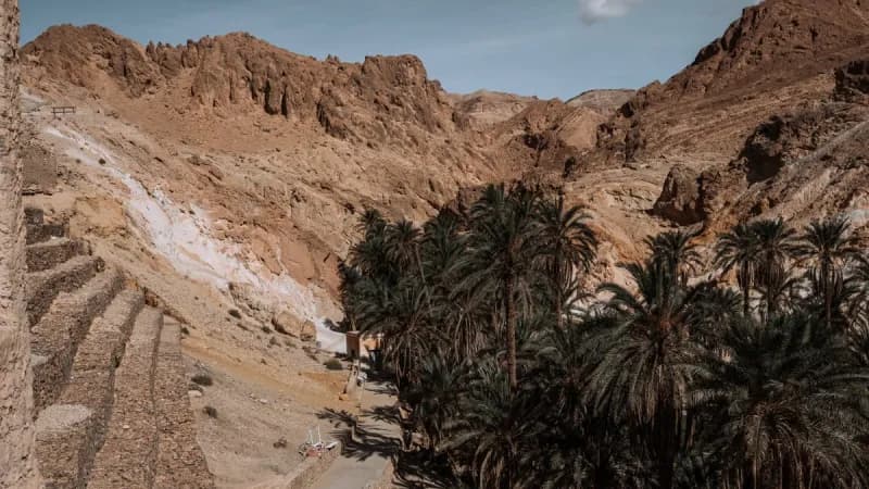 Tozeur & Oasis de Montagne
