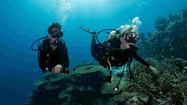 Plongée sous-marine