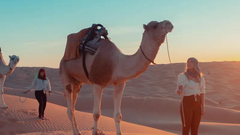 Sur les Pas des Bédouins : Une Aventure Nomade dans le Sahara