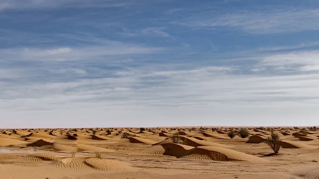 Excursion 2 jours à Ksar Ghilane Nuit Sous Tente 6