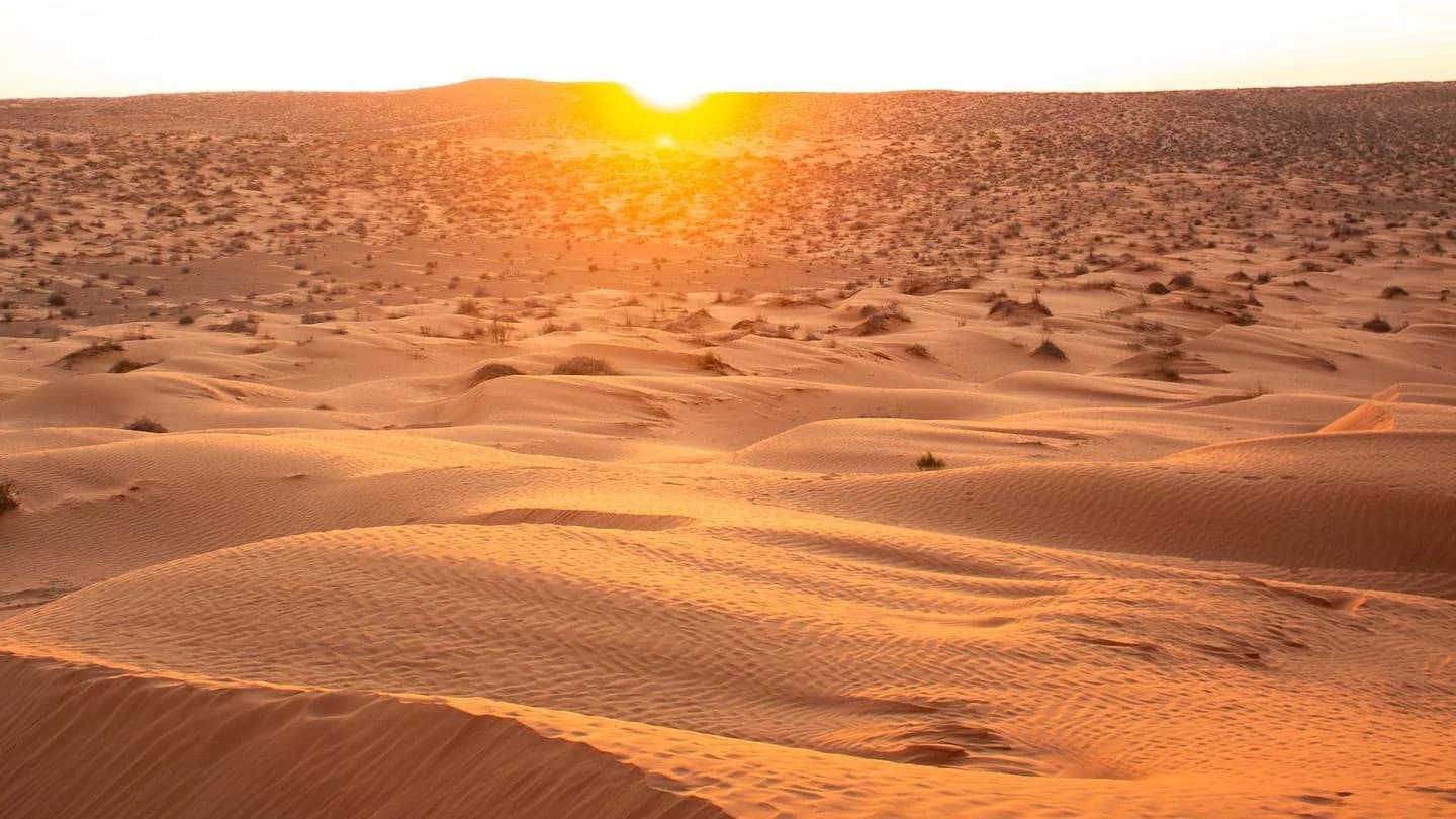 Excursion 2 jours à Ksar Ghilane Nuit Sous Tente 10