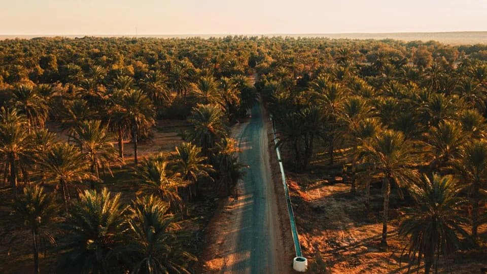 Excursion 2 jours à Ksar Ghilane Nuit Sous Tente 19