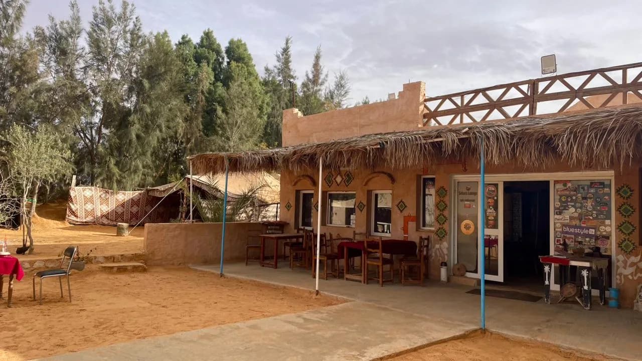 Excursion Journée - Oasis de Ksar Ghilane 5