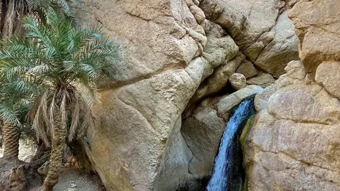 évasion entre oasis, dunes et villages berbères 8