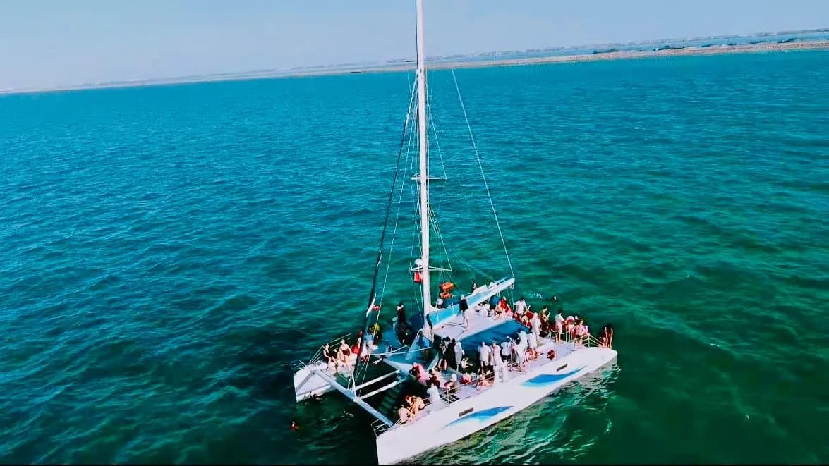 Sortie En Catamaran 4