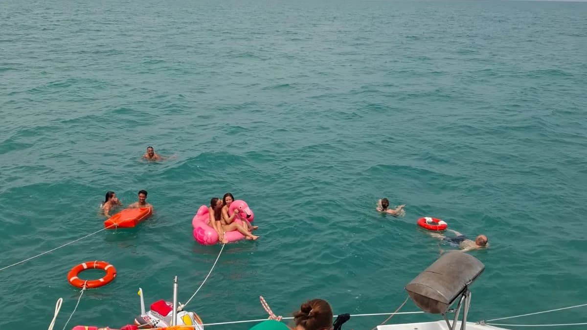 Sortie En Catamaran 13