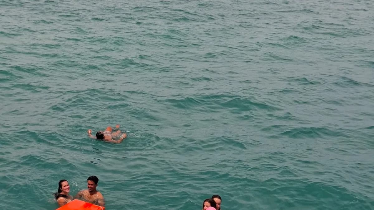 Sortie En Catamaran 21