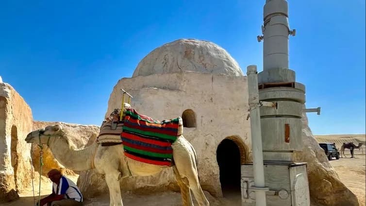 De Tunis au Grand Sud Tunisien 8