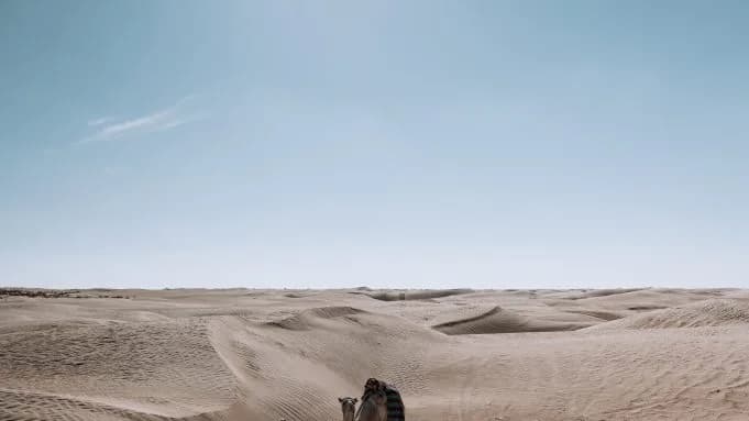 De Tunis au Grand Sud Tunisien 27