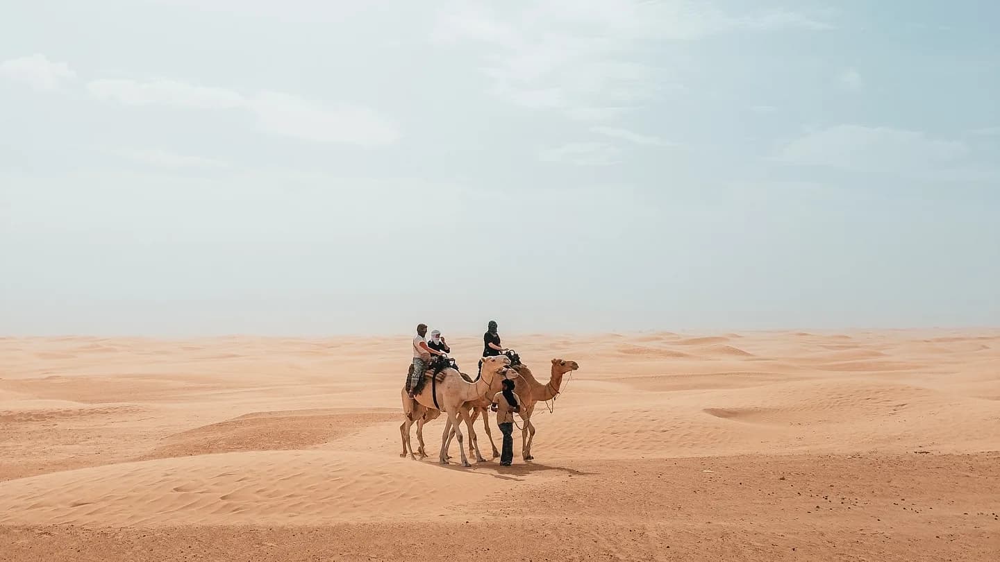 Sur les Pas des Bédouins : Une Aventure Nomade dans le Sahara 17