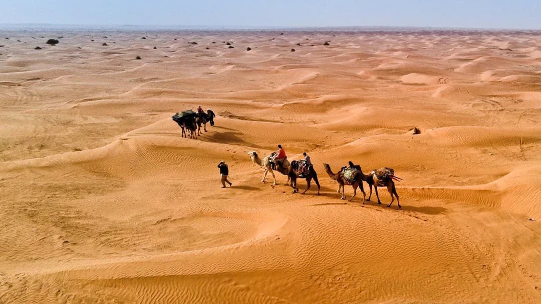 Sur les Pas des Bédouins : Une Aventure Nomade dans le Sahara 22