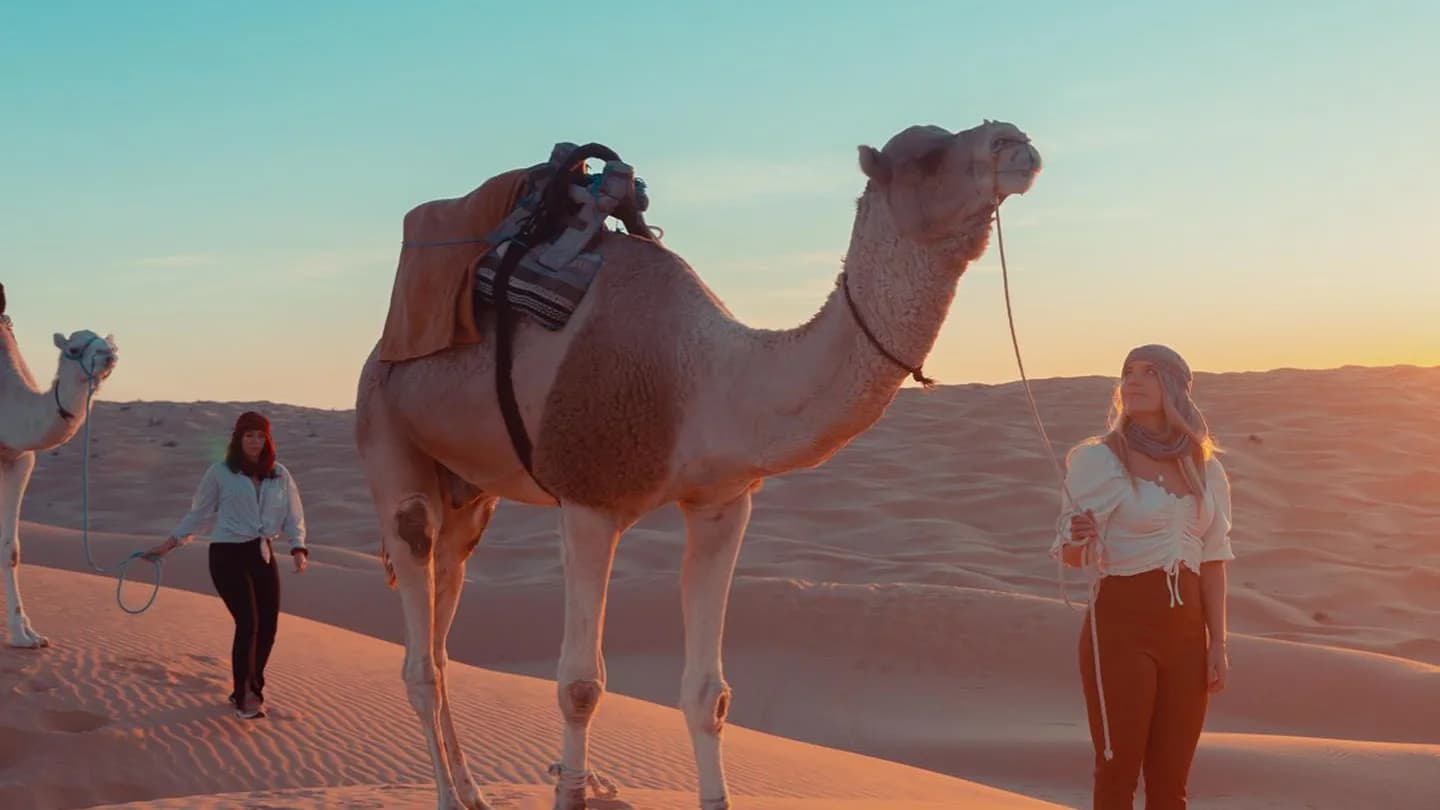 Sur les Pas des Bédouins : Une Aventure Nomade dans le Sahara 23