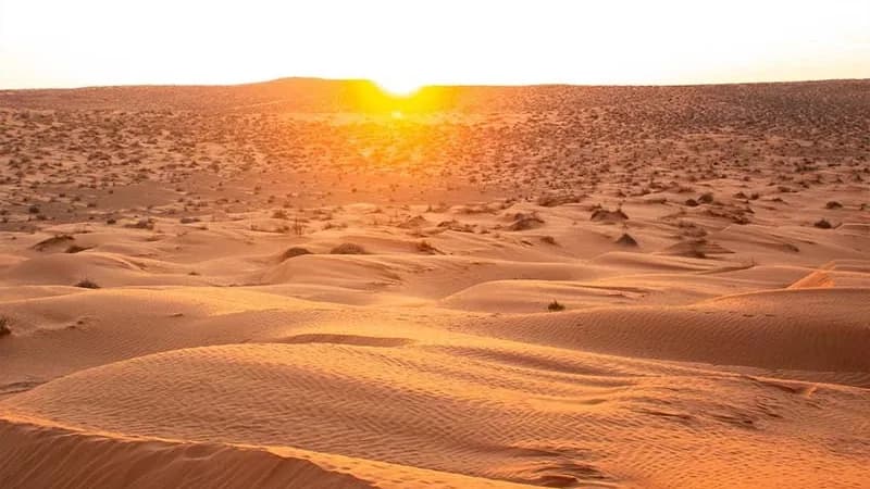Coucher de Soleil dans les Dunes 34