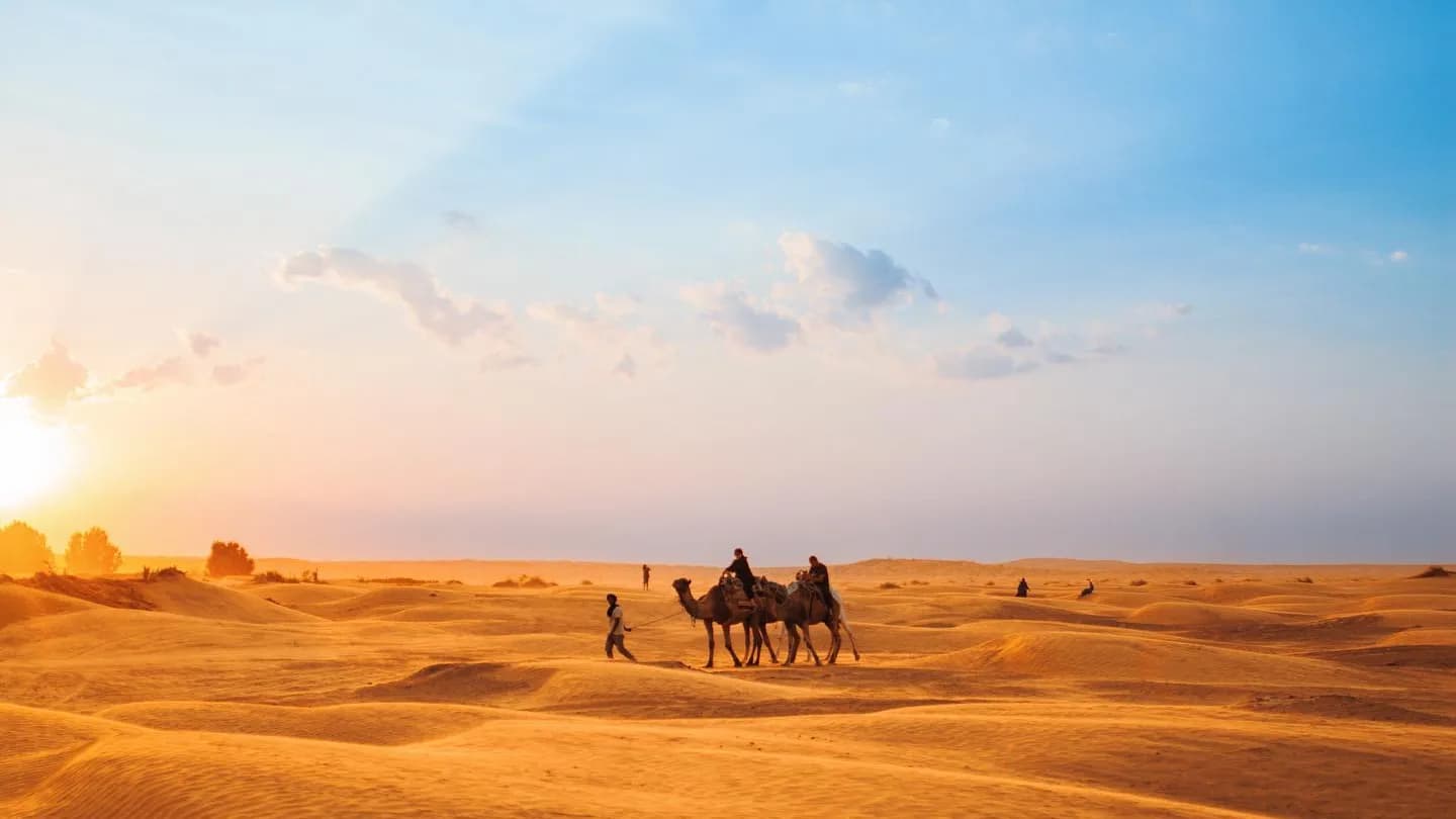 Coucher de Soleil dans les Dunes 50