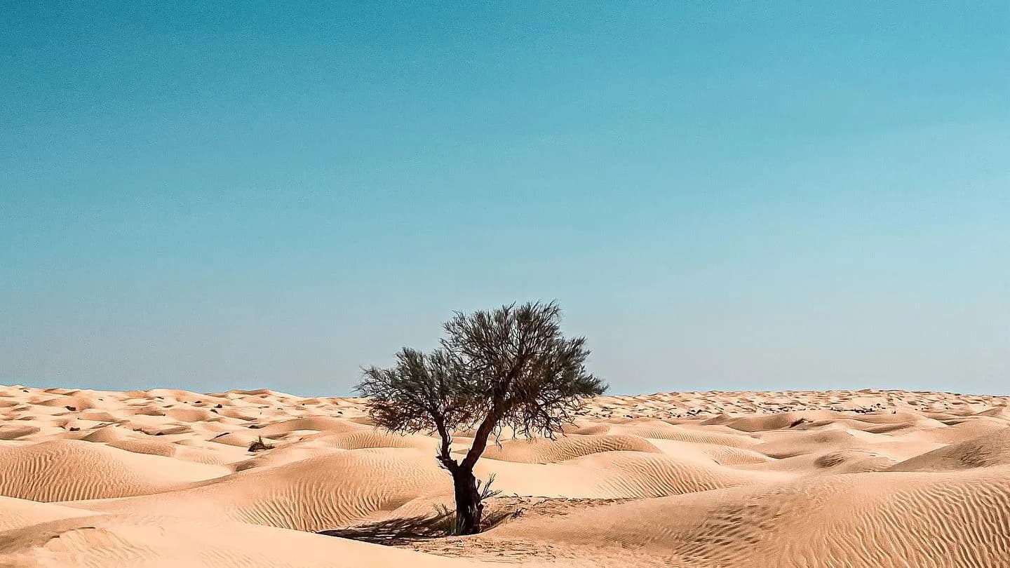 Luxury Desert Escape – De Djerba au Cœur du Sahara de Tembaïne 13